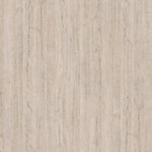5529 Iverica univer