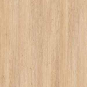 8431 iverica univer