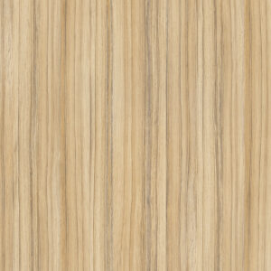 8995 iverica univer