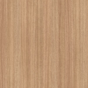 5501 iverica univer